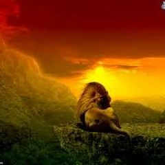 Relaxing Herb Fields