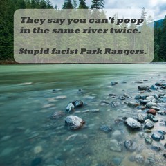 Slutty Elk Are Welcome At Hotel California