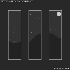 Feyde - In The Moonlight (B.W.Ø Remix)