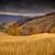 Artwork for Andrew Souter -- The Harvest