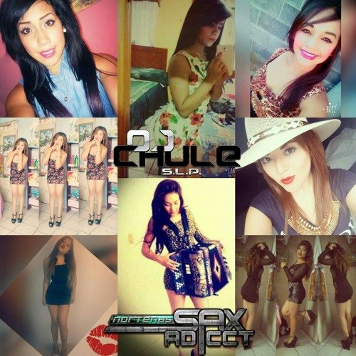 Mix Huapangos Perrones | Pa' Bailar El Robotin | #YPuroSanLuis #YoSoySaxAdicct