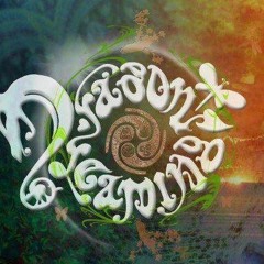 Touching Sounds - Dragon Dreaming Festival 2015 Set