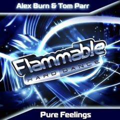 Alex Burn and Tom Parr- Pure Feelings