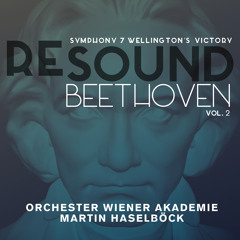 BEETHOVEN: Symphony No. 7 in A Major, Op. 92: II. Allegretto in A Minor