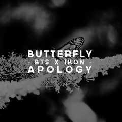 BTS & iKON - Butterfly X Apology (Mashup)