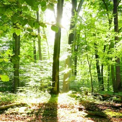 آیت احمدنژاد تنیاس دلم