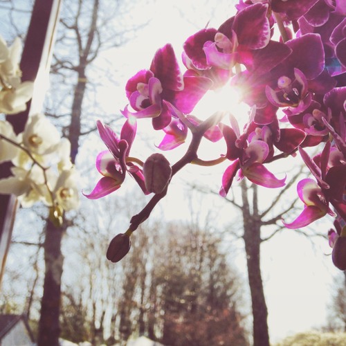 YeahRight! - Remind Me (Jeto Remix)