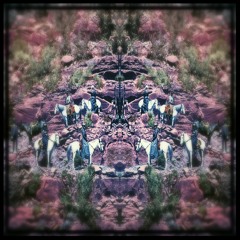 Appaloosa - NUform