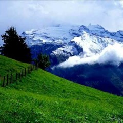 قراءة تفطـر القلب - ادريس ابكر