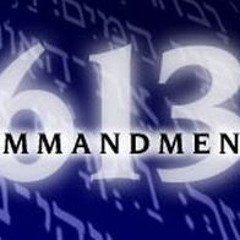 Why Do We Do Mitzvot? - By Rabbi Alon Anava