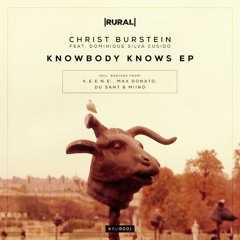 Premiere: Christ Burstein - Knowbody Knows (Du Sant & Miino Remix) [Rural Sounds Records]