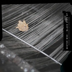 Stream: Mister Woo - Black Eyes (Alan Fitzpatrick's Loft Rocker)