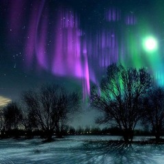 It's Menia Bitch - Na Na