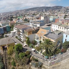 NoleMale