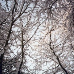 A BAND CALLED QUINN - I Wish You Love