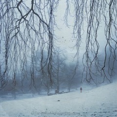 winterliquid