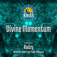 Dj Radzy - Divine Momentum [BMSS Records Exclusive Mix 2015]