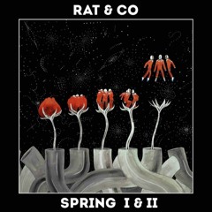 PREMIERE : Rat & Co - Spring 2 [Smooch Records]