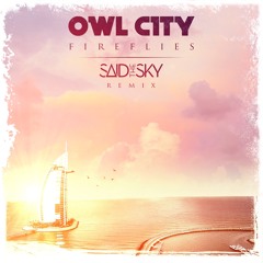 Owl City - Fireflies (Said The Sky Remix)