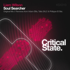 Liam Wilson - Soul Searcher (Adam Ellis Got No Soul Remix)