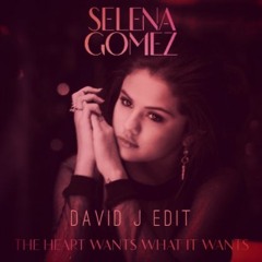 The Heart Wants What It Wants Remix (David J Edit)