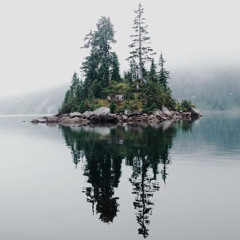 SIA - Chandelier (Piano Cover)