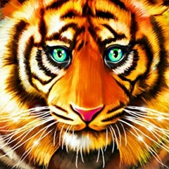 Djnerd - A Tiger's Spirit
