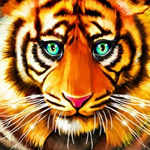 Djnerd - A Tiger's Spirit