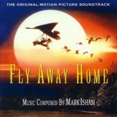 Fly Away Home
