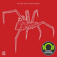 SBCR (aka The Bloody Beetroots) - SPIDER (Ricky Mears Remix)