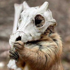 Herbivore Lobster (prod. by Chris The Redeemer)