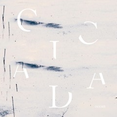 Cicada - Into The Ocean