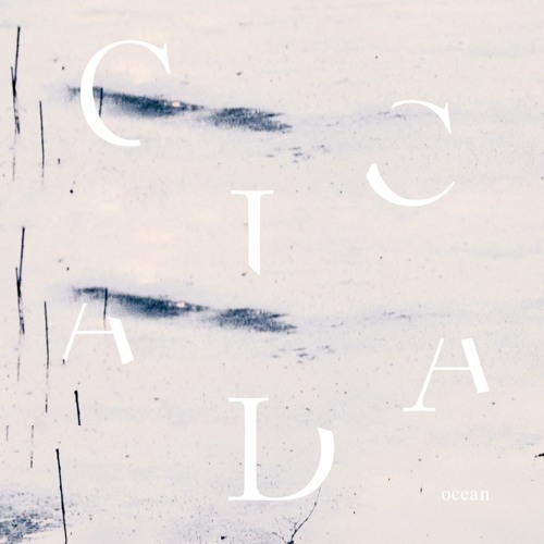 Cicada - Into The Ocean