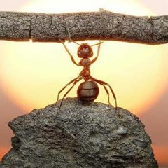 P3ssy - P'tite Nature !