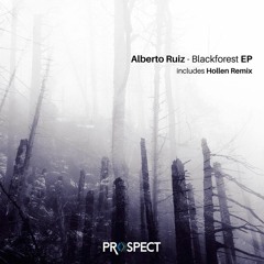 Alberto Ruiz - Blackforest (Hollen Remix) - [Prospect Records]