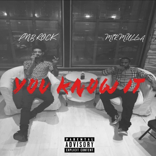 PnB Rock x Mir Mulla - You Know It