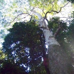 Natural Death - a documentary about choice