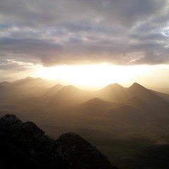 Hibernation Sprung Mix