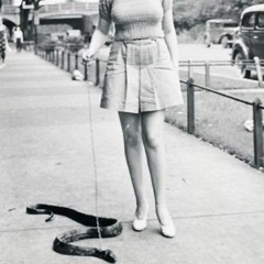 Young Turks Pipsqueak Ruff rod st cover