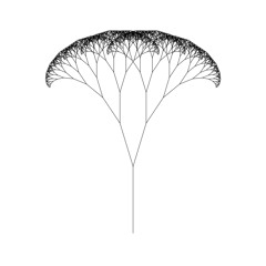 Algorithmic Transform 3 : Fractal Tree