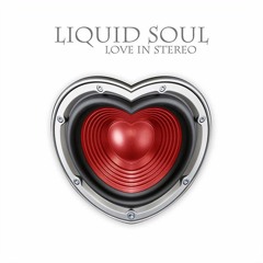 Liquid Soul - Sweet Things (Morten Granau & Metronome Remix)