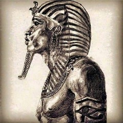 Searching 4 The Truth