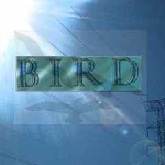 Bird  [prod. Kotsi Boy](CDQ)