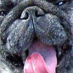 Spur McGuffin - Deutschland