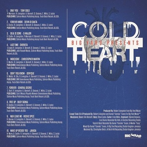 Cold Heart Riddim 2015 Megamix