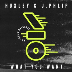 Huxley & J.Phlip - What You Want (Vin Sol Remix)
