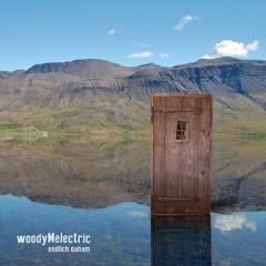 Woody Melectric - Endlich Daham