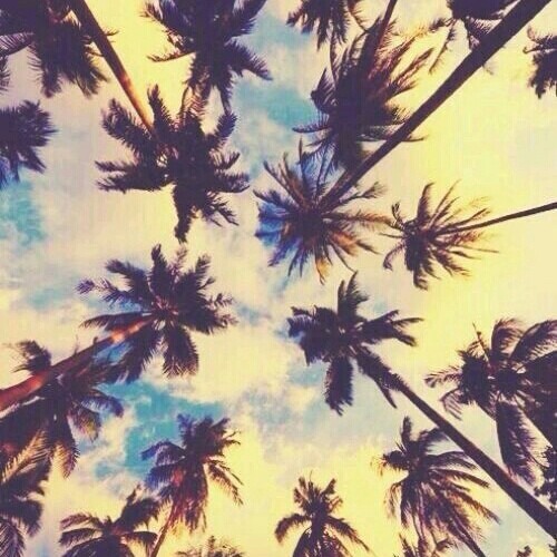 Twenty one pilots - Tear in my heart (Cover by Twenty one two)