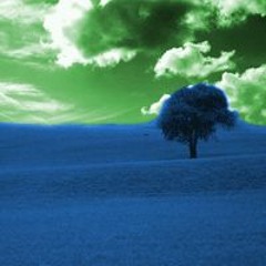 If The Sky Was Green And The Grass Was Blue