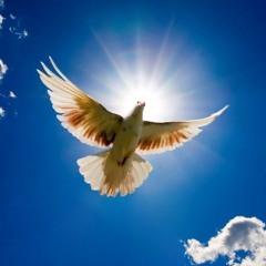 Should I Serve G-od With Fear Or Love?